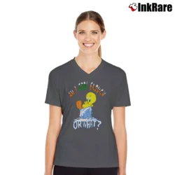 Women’s 1996 Tweety Bird Looney Tunes V-Neck Tee in charcoal | Chic Neckline, Soft Texture