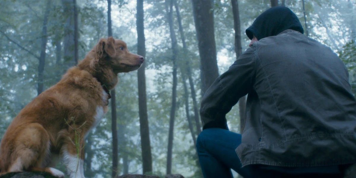 Indy and Todd in Good Boy Horror Movie