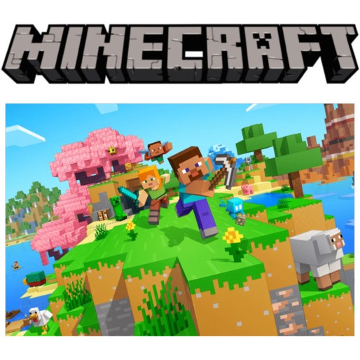 Minecraft Graphic T-shirts