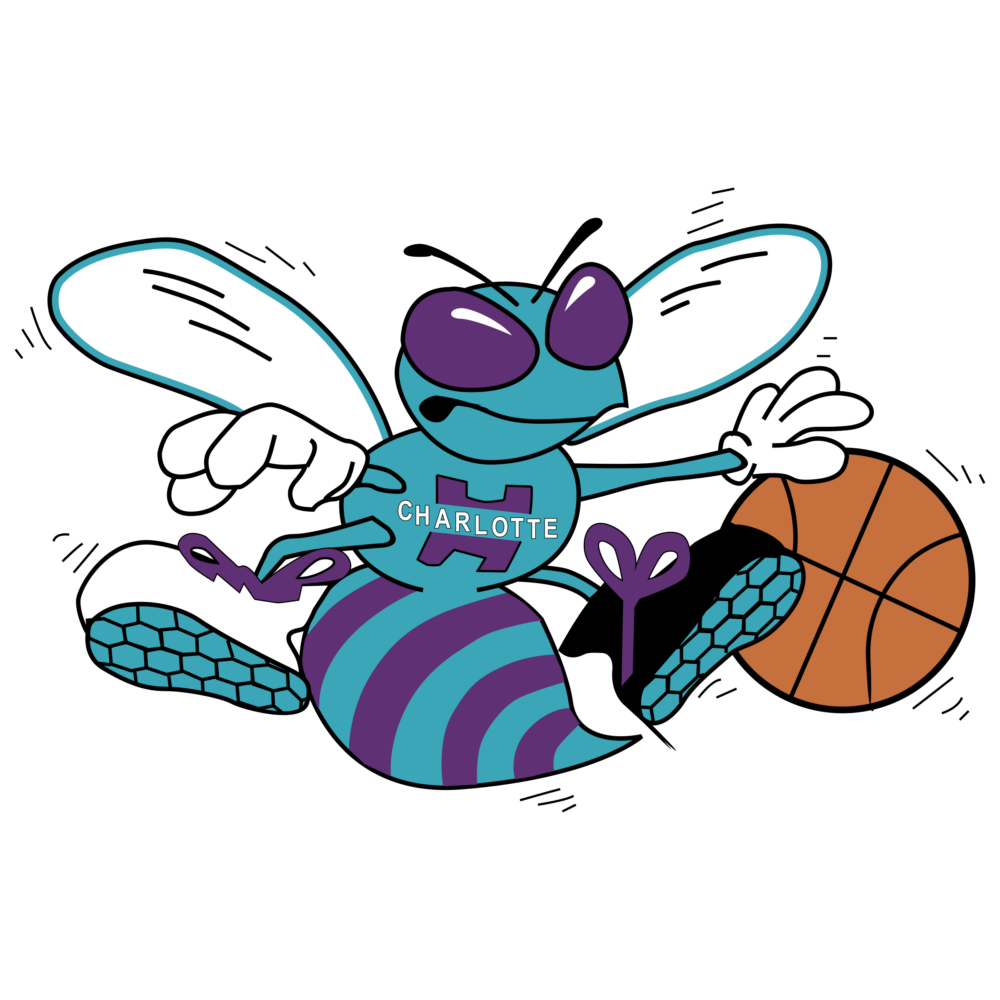 Charlotte Hornets Graphic T Shirts