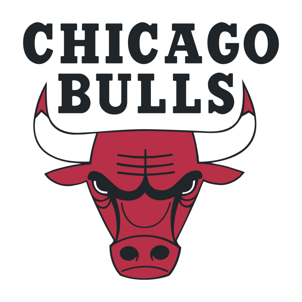 Chicago Bulls Graphic T Shirts