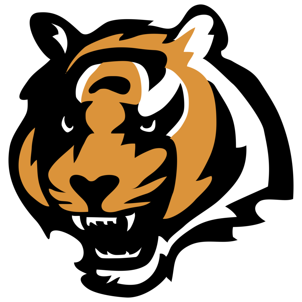 Cincinnati Bengals Graphic T Shirts