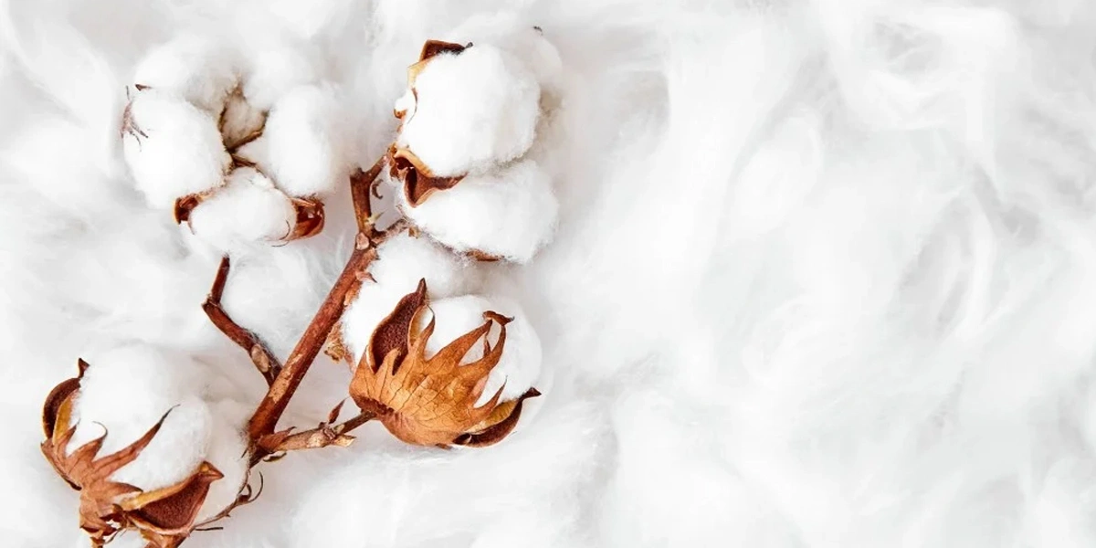 Cotton Fabric For Shirts