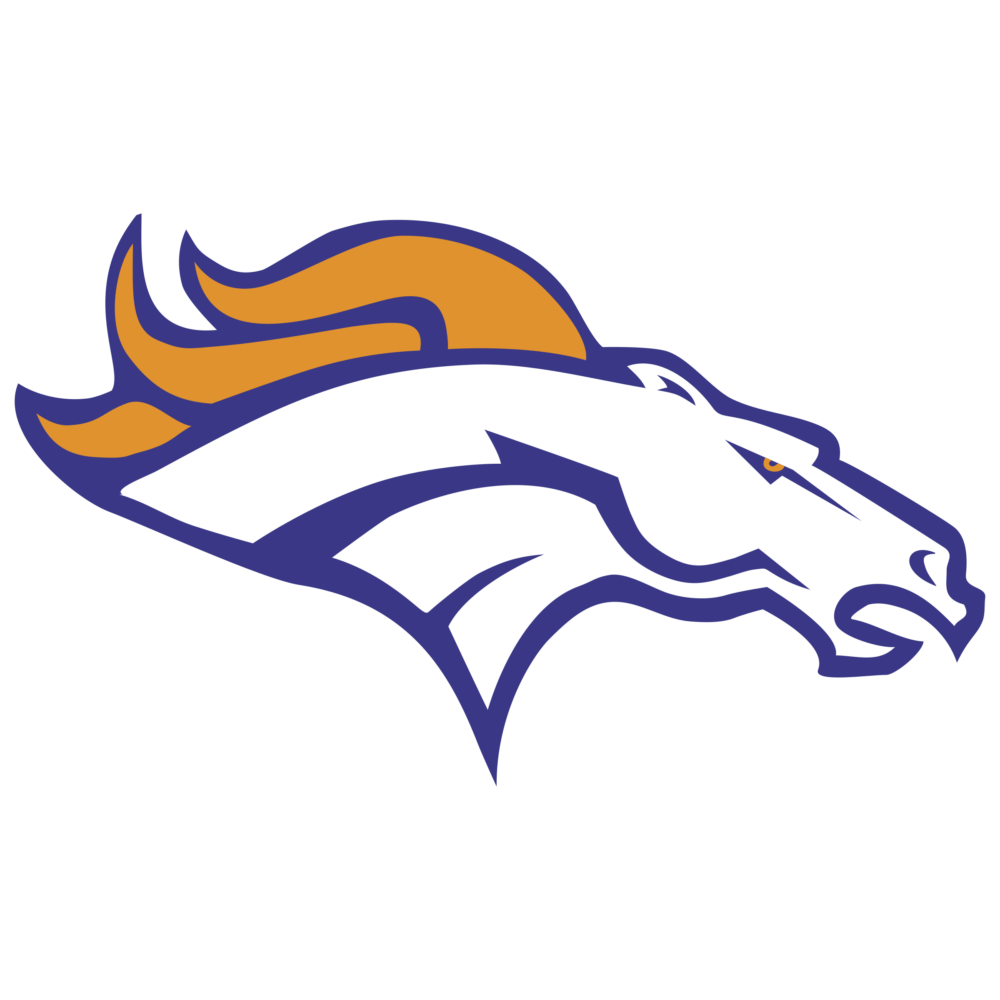 Denver Broncos Graphic T Shirts