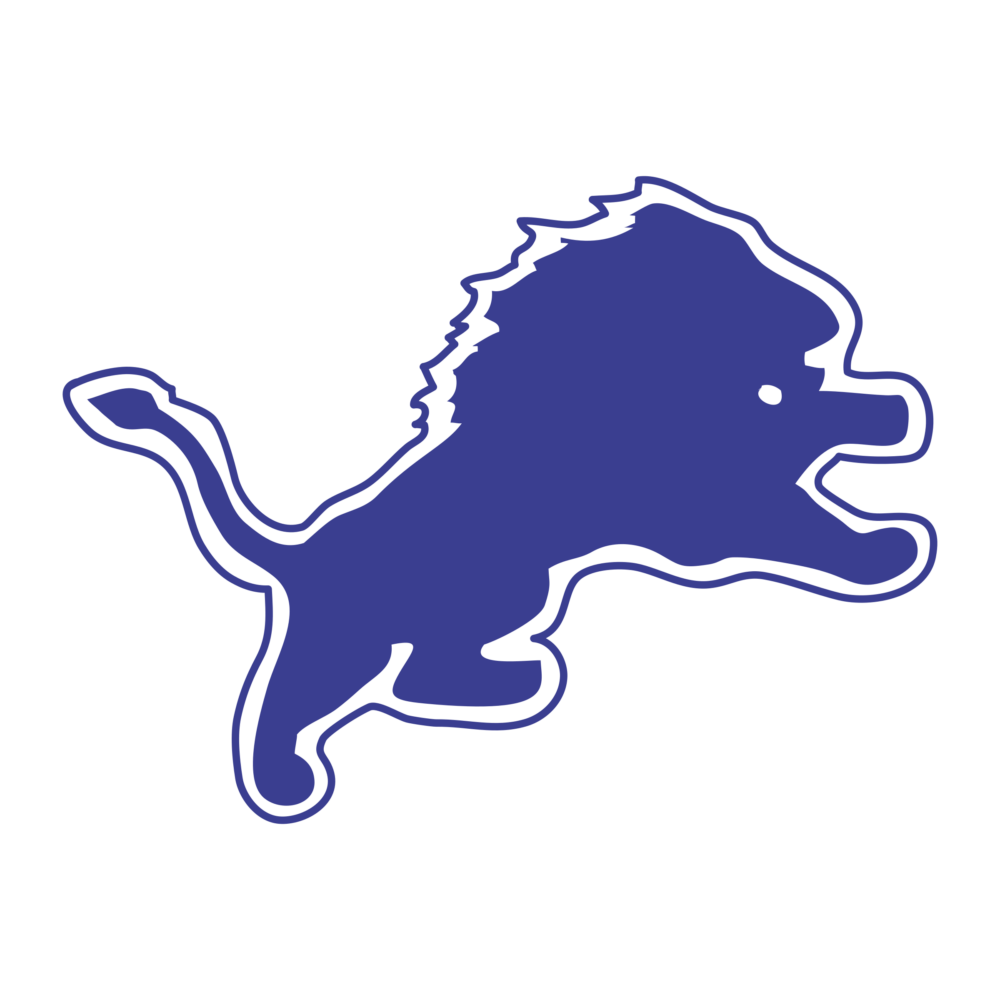 Detroit Lions Graphic T Shirts
