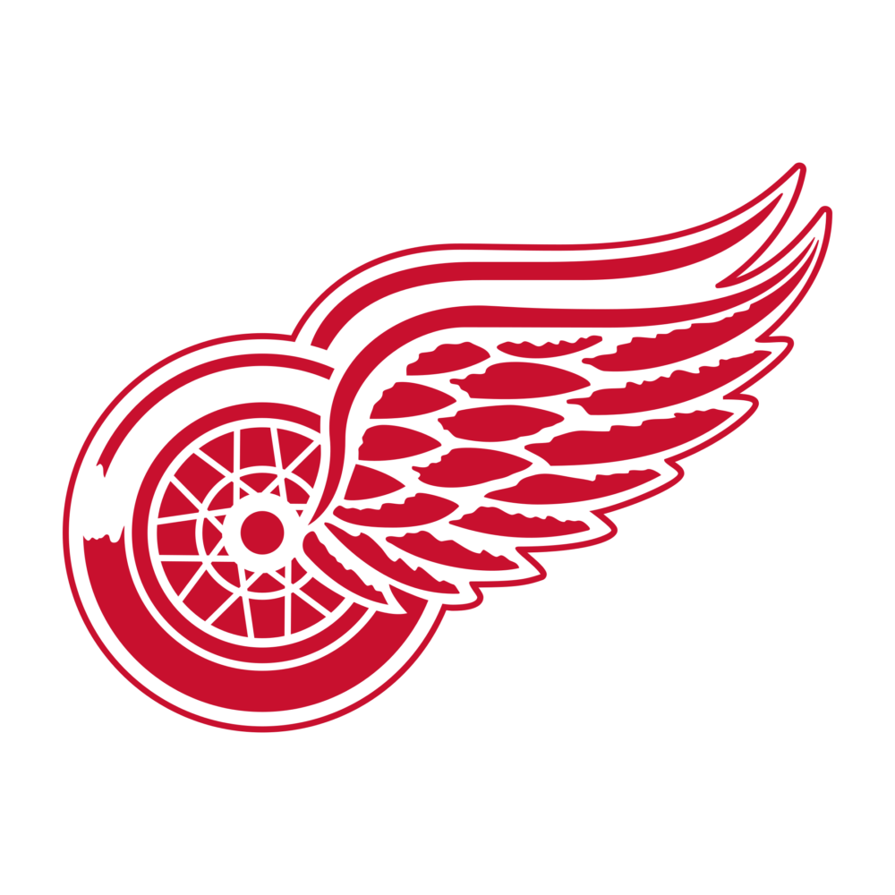Detroit Red Wings Graphic T Shirts