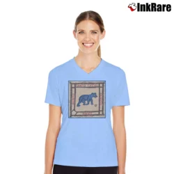 Women’s eamus catuli for Chicago Cubs Fans V-Neck Tee in light blue | Chic Neckline, Soft Texture