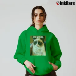 Women’s Grumpy Cat It's Not Me It's You Cozy Hoodie in irish green | Warm, Structured, Stylish