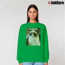 Women’s Grumpy Cat It's Not Me It's You Relaxed Sweatshirt in irish green | Soft, Laid-Back Vibe