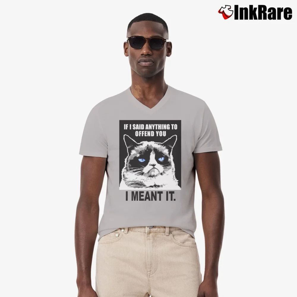 Men’s If I Said Anything To Offend You I Meant It V-Neck Tee in sport grey | Sharp, Breathable, Everyday Staple