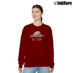 Women’s Star Wars Not Today Funny Quote Relaxed Sweatshirt in maroon | Soft, Laid-Back Vibe